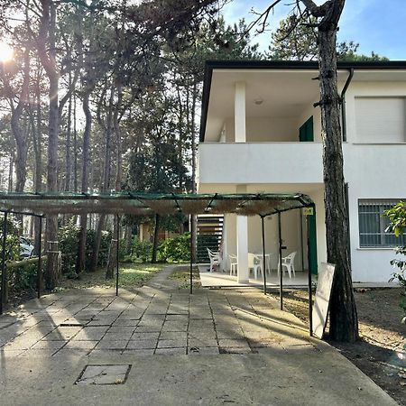 Villa Giorgio 2 Mare E Pineta 비비오네 외부 사진